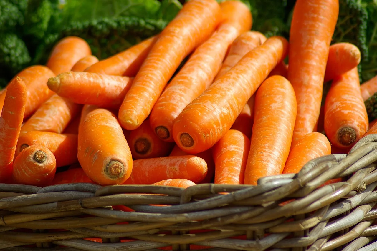 Fresh whole carrots on a wooden board.