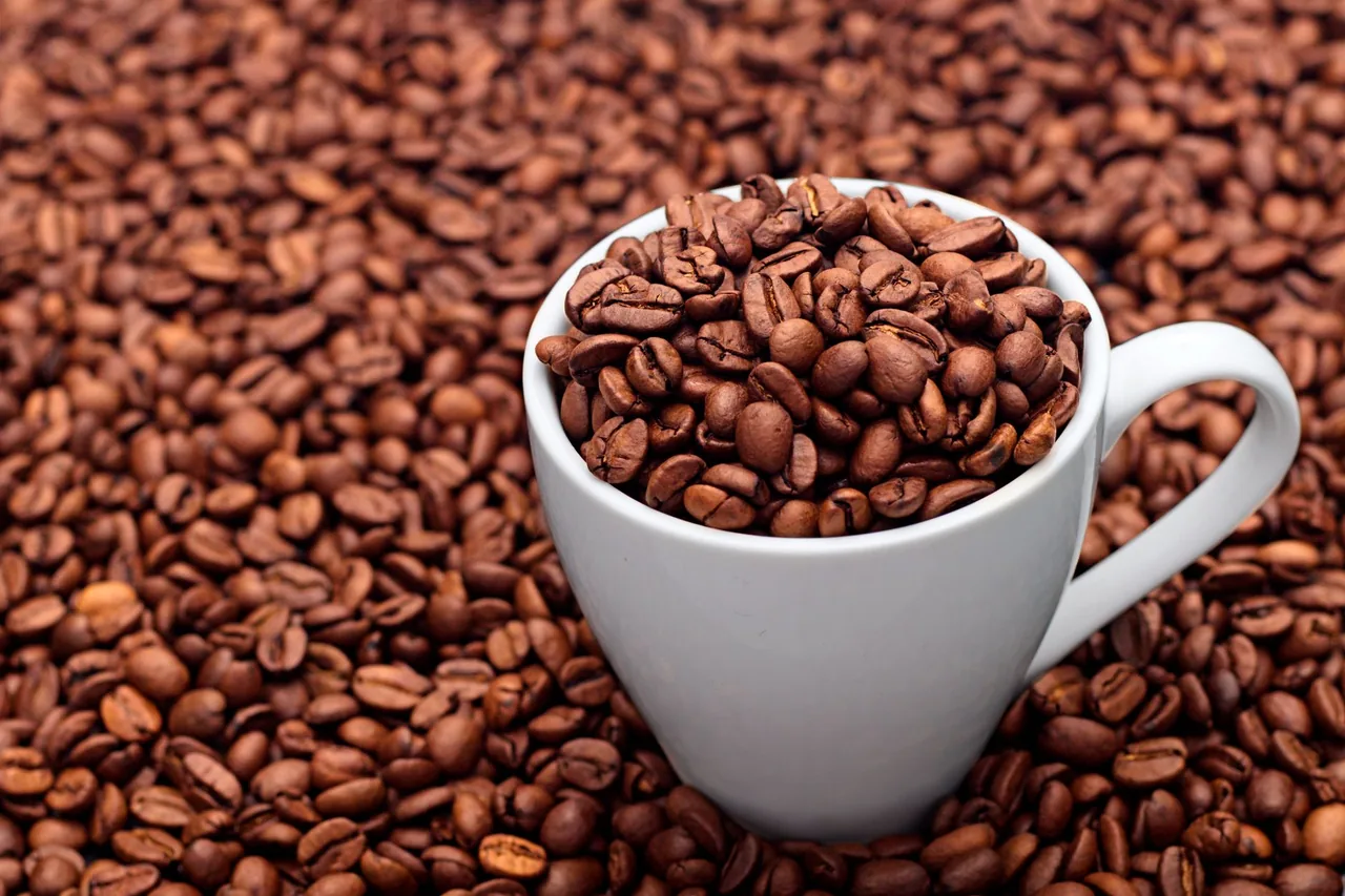 A white cup filled with roasted coffee beans, sitting on a bed of more beans.