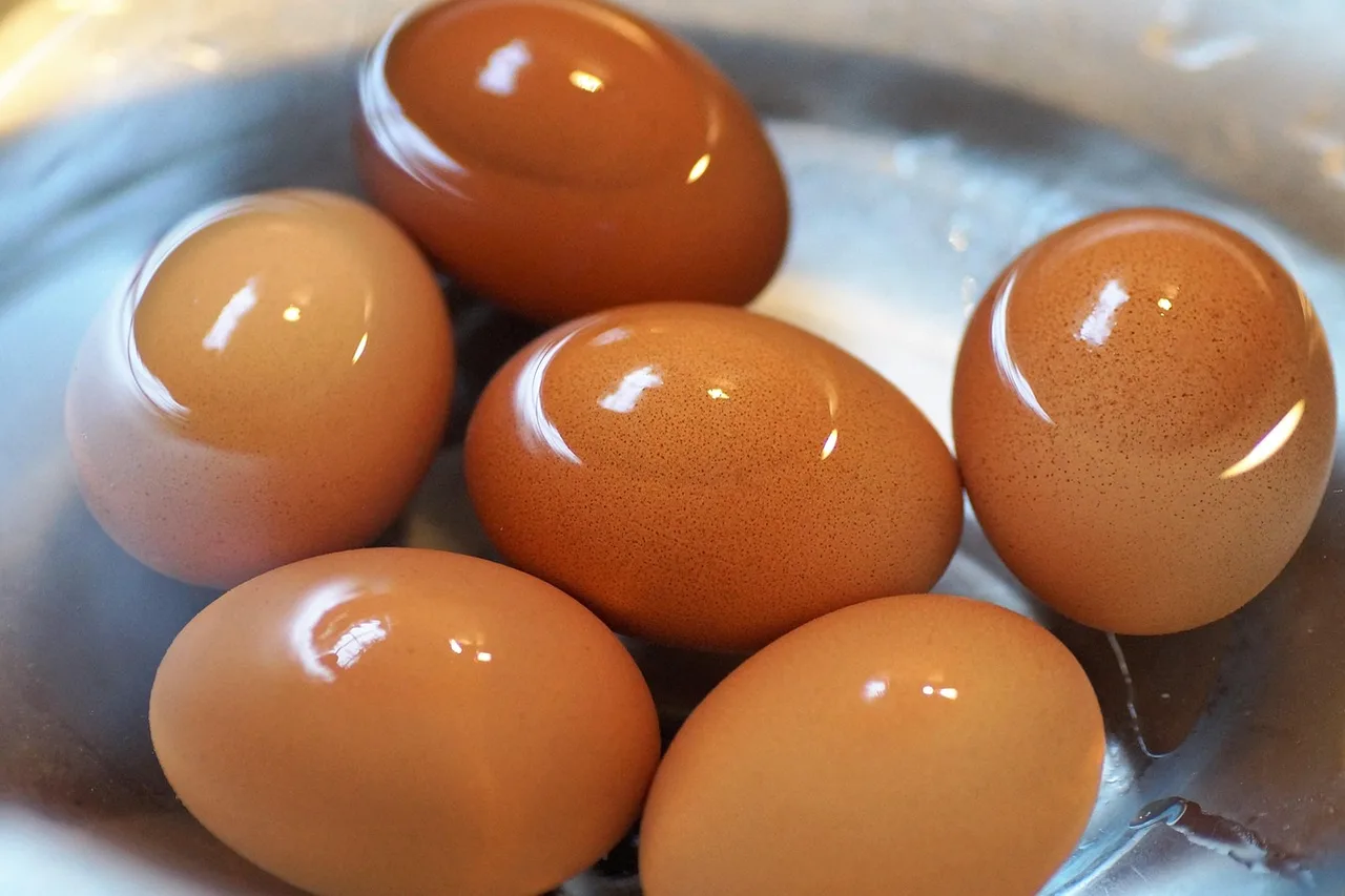 Plain hard-boiled eggs.