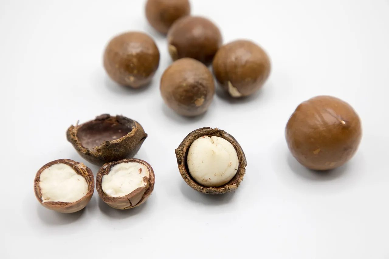 Whole macadamia nuts in their brown shells next to cracked ones showing the cream-colored nut inside.