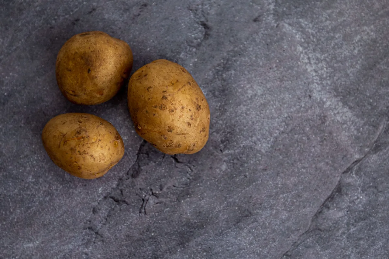 Three raw potatoes on a dark slate surface.