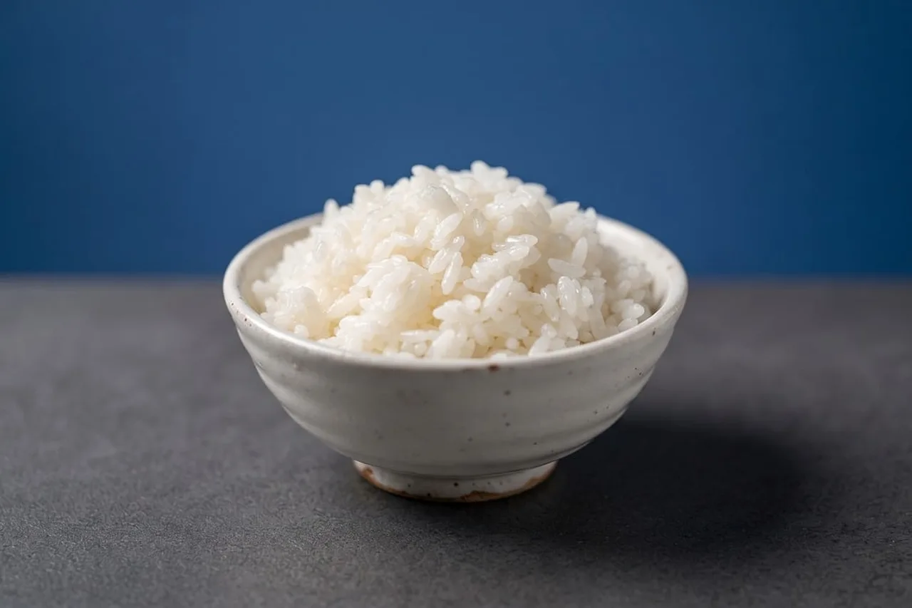 A bowl of plain cooked white rice.