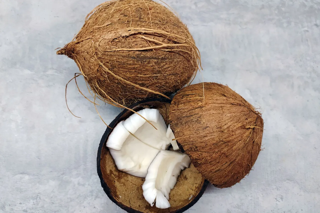 Two whole coconuts in their brown husks beside an open half.
