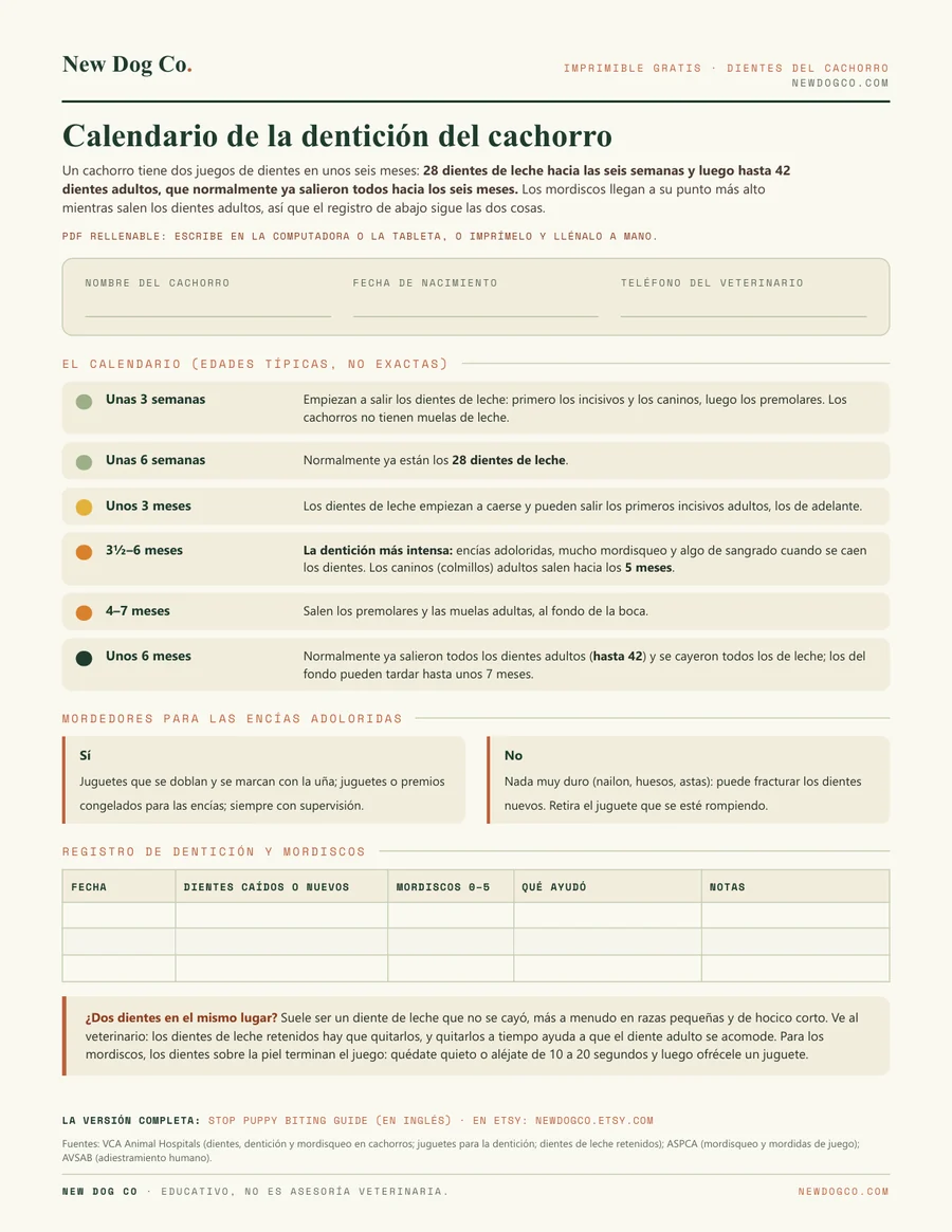 Calendario de la dentición del cachorro: vista previa del PDF imprimible