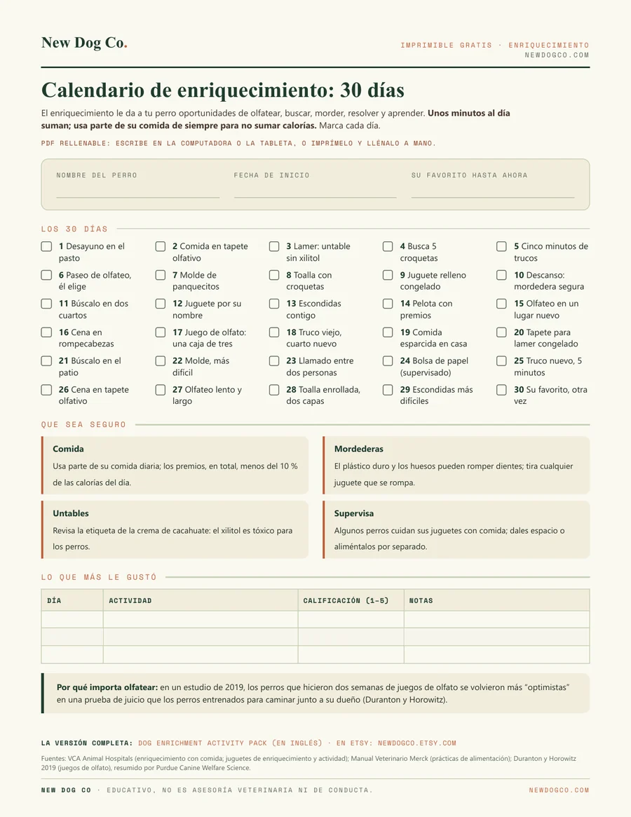 Calendario de enriquecimiento: 30 días: vista previa del PDF imprimible