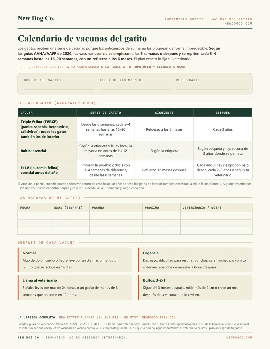 Calendario de vacunas del gatito: vista previa del PDF imprimible