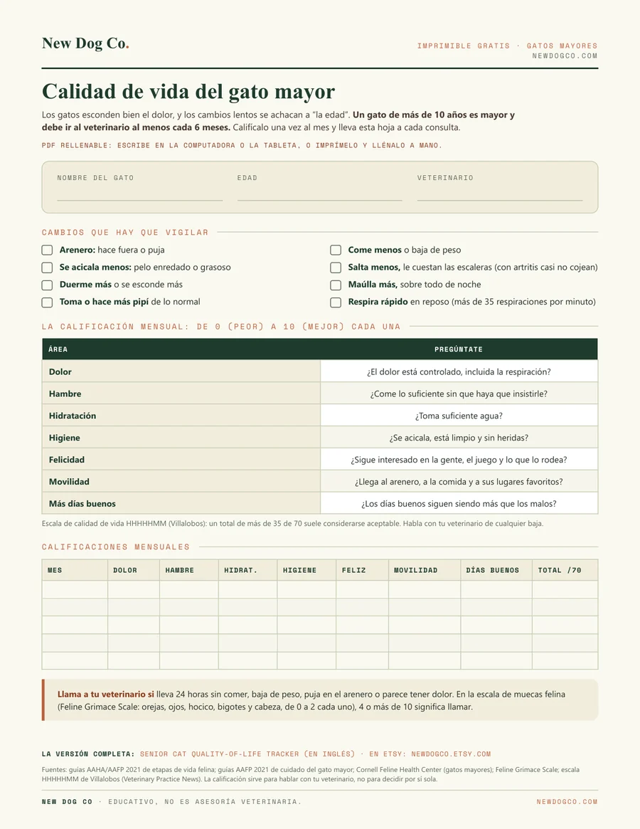Calidad de vida del gato mayor: vista previa del PDF imprimible