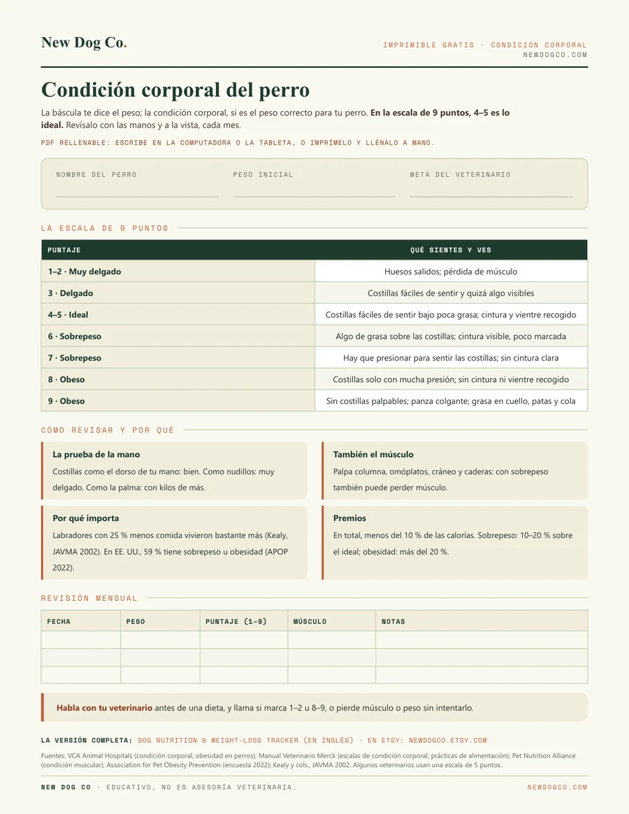 Condición corporal del perro: vista previa del PDF imprimible
