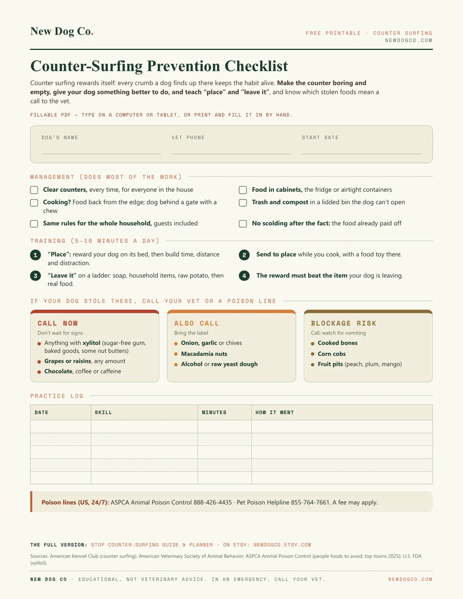 Counter-Surfing Prevention Checklist — free printable PDF preview