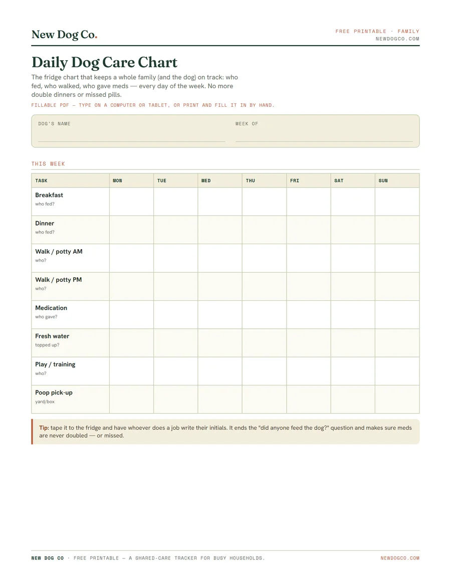 Daily Dog Care Chart — free printable PDF preview