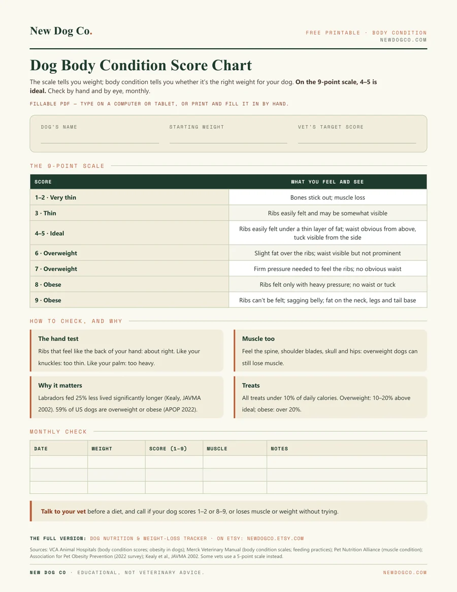 Dog Body Condition Score Chart — free printable PDF preview