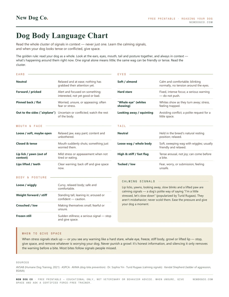 Dog Body Language Chart — free printable PDF preview