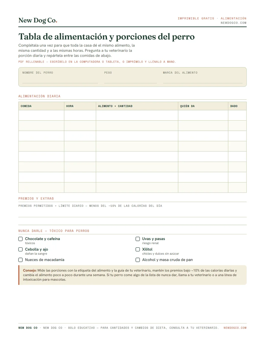 Tabla de alimentación y porciones del perro — vista previa del PDF imprimible