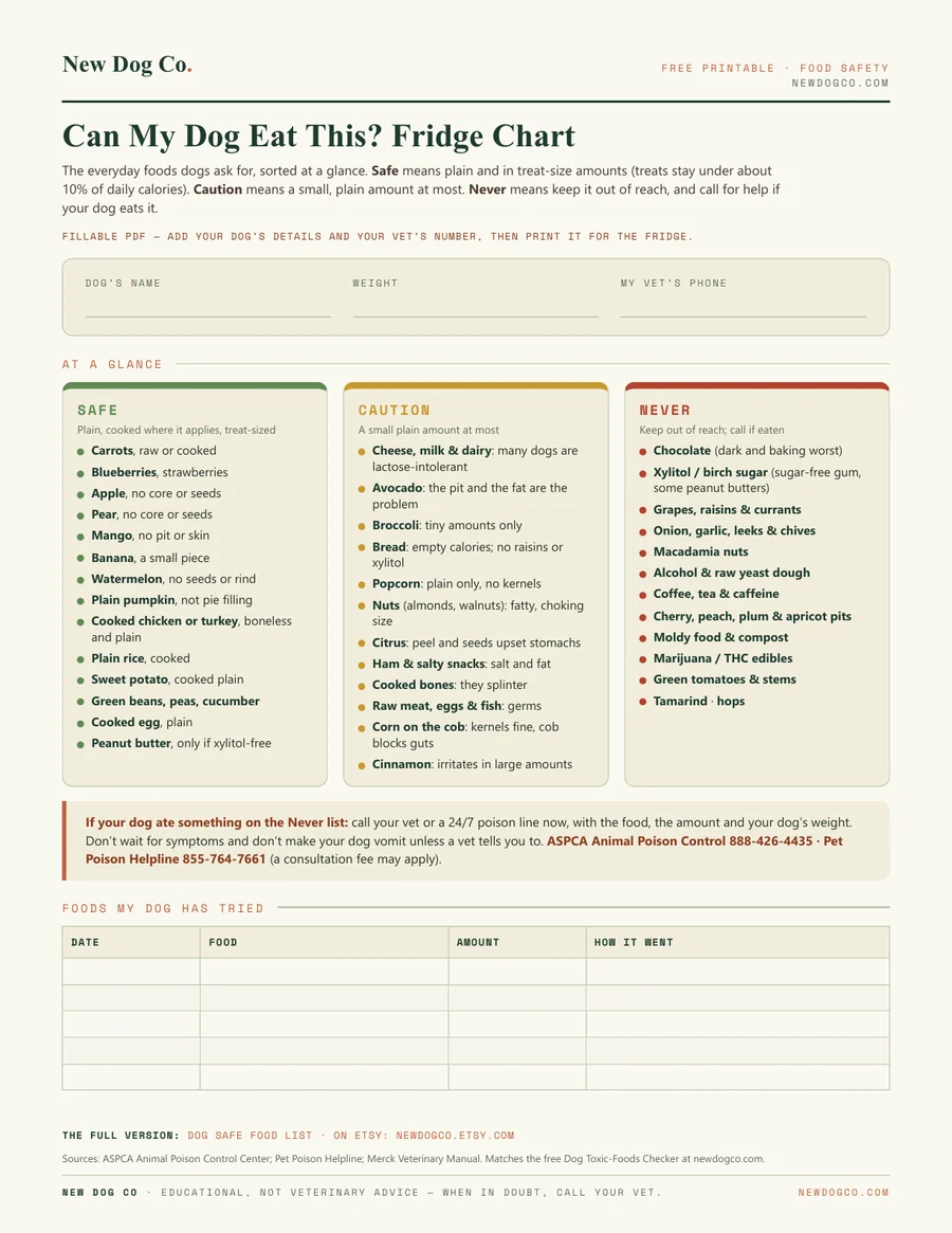 Can My Dog Eat This? Food Safety Chart — free printable PDF preview