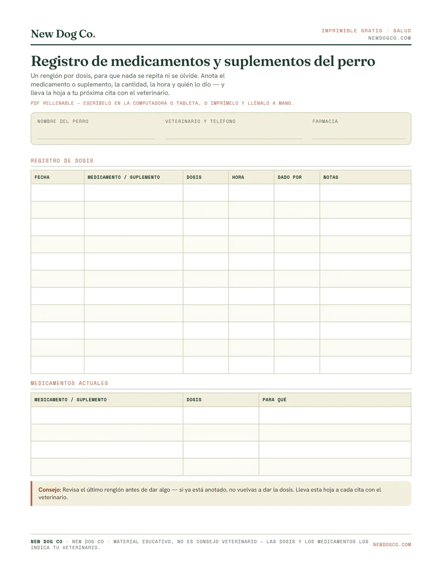 Registro de medicamentos y suplementos del perro — vista previa del PDF imprimible