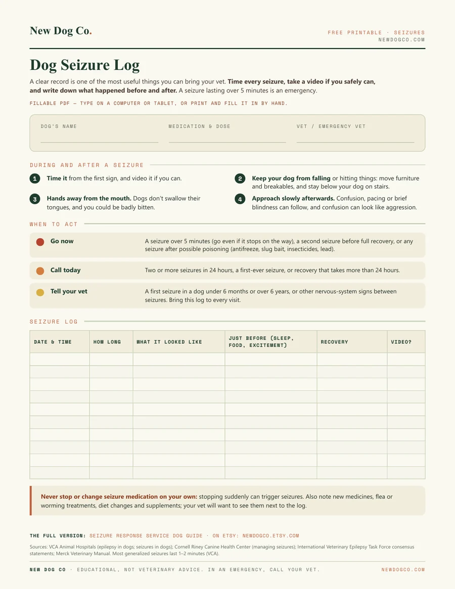 Dog Seizure Log — free printable PDF preview