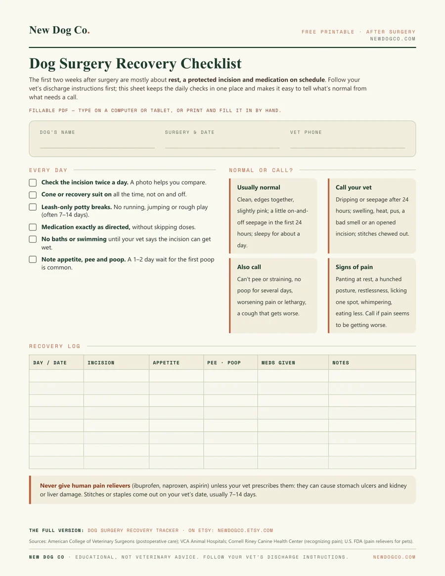 Dog Surgery Recovery Checklist — free printable PDF preview