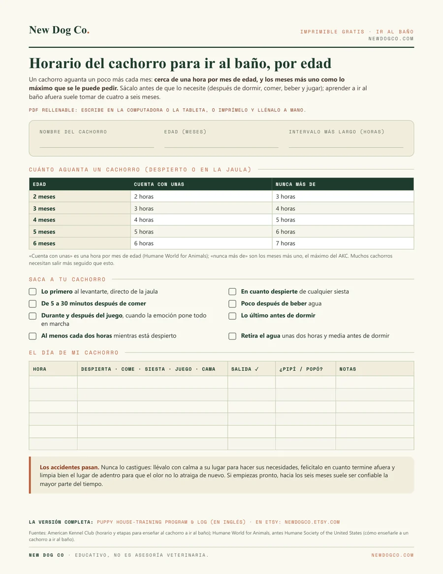 Horario del cachorro para ir al baño, por edad: vista previa del PDF imprimible