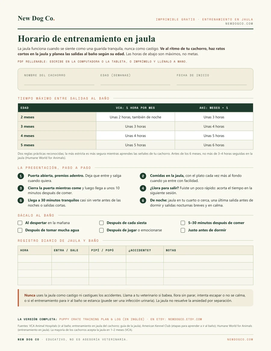Horario de entrenamiento en jaula: vista previa del PDF imprimible