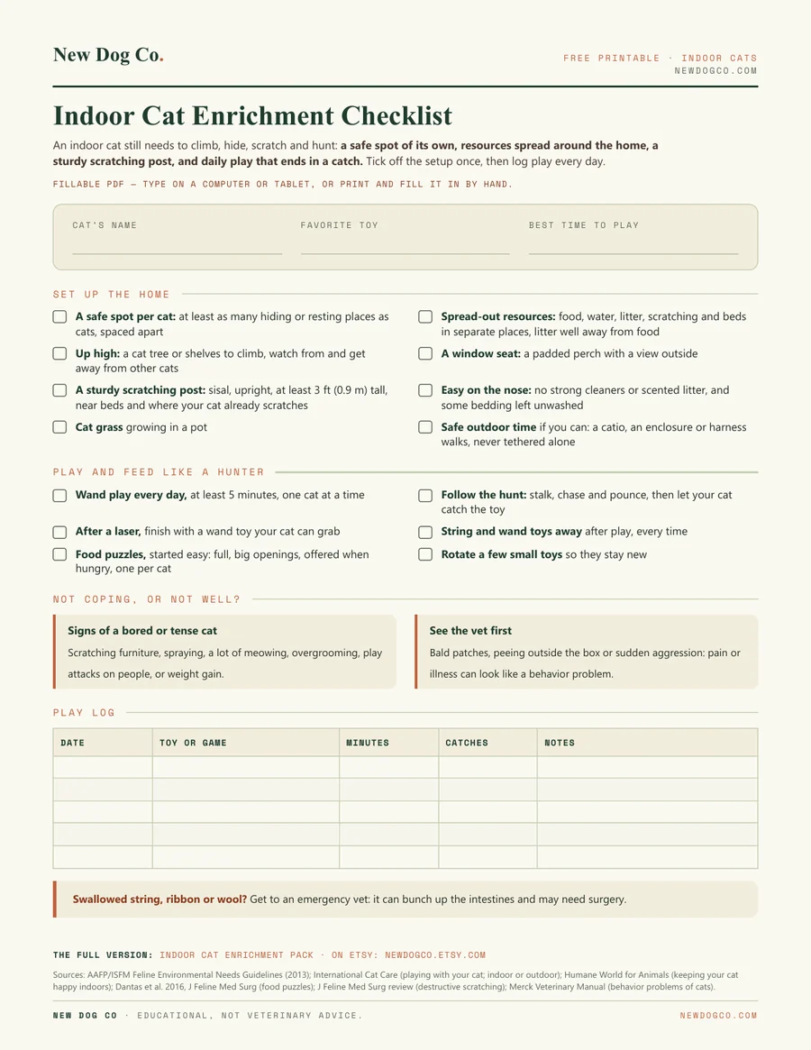 Indoor Cat Enrichment Checklist — free printable PDF preview