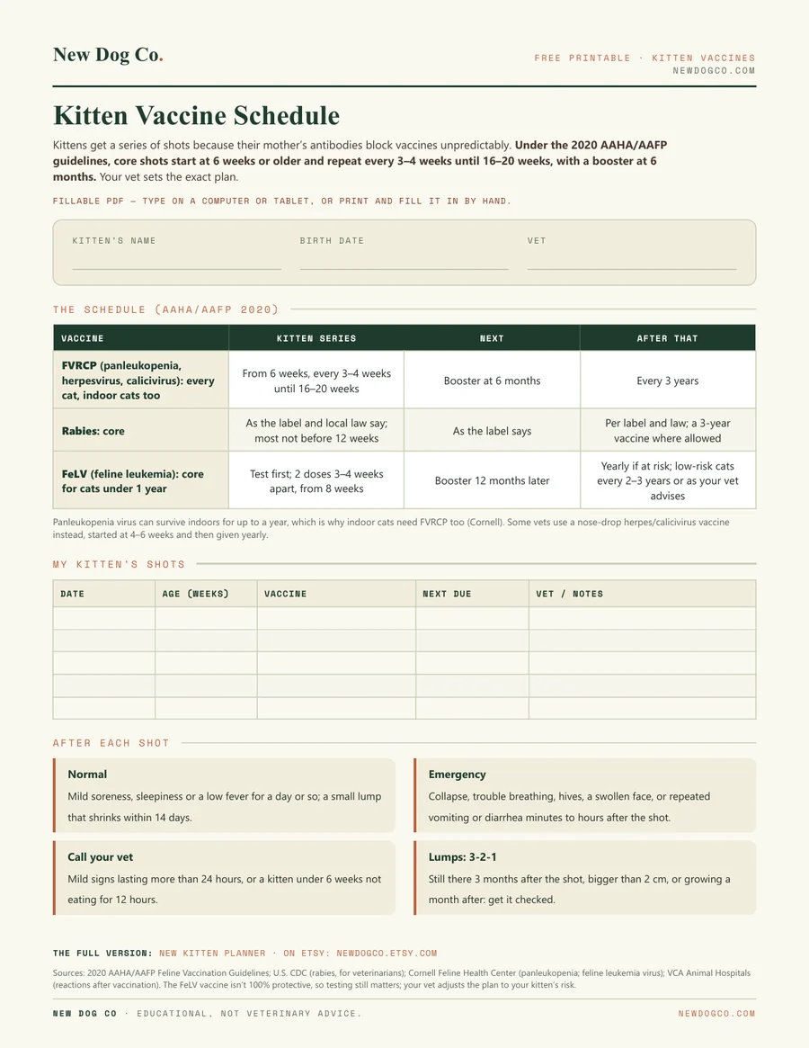 Kitten Vaccine Schedule — free printable PDF preview