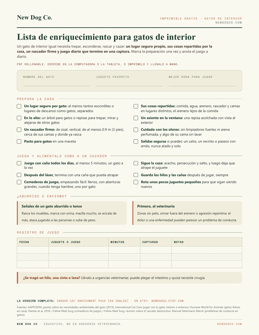 Lista de enriquecimiento para gatos de interior: vista previa del PDF imprimible