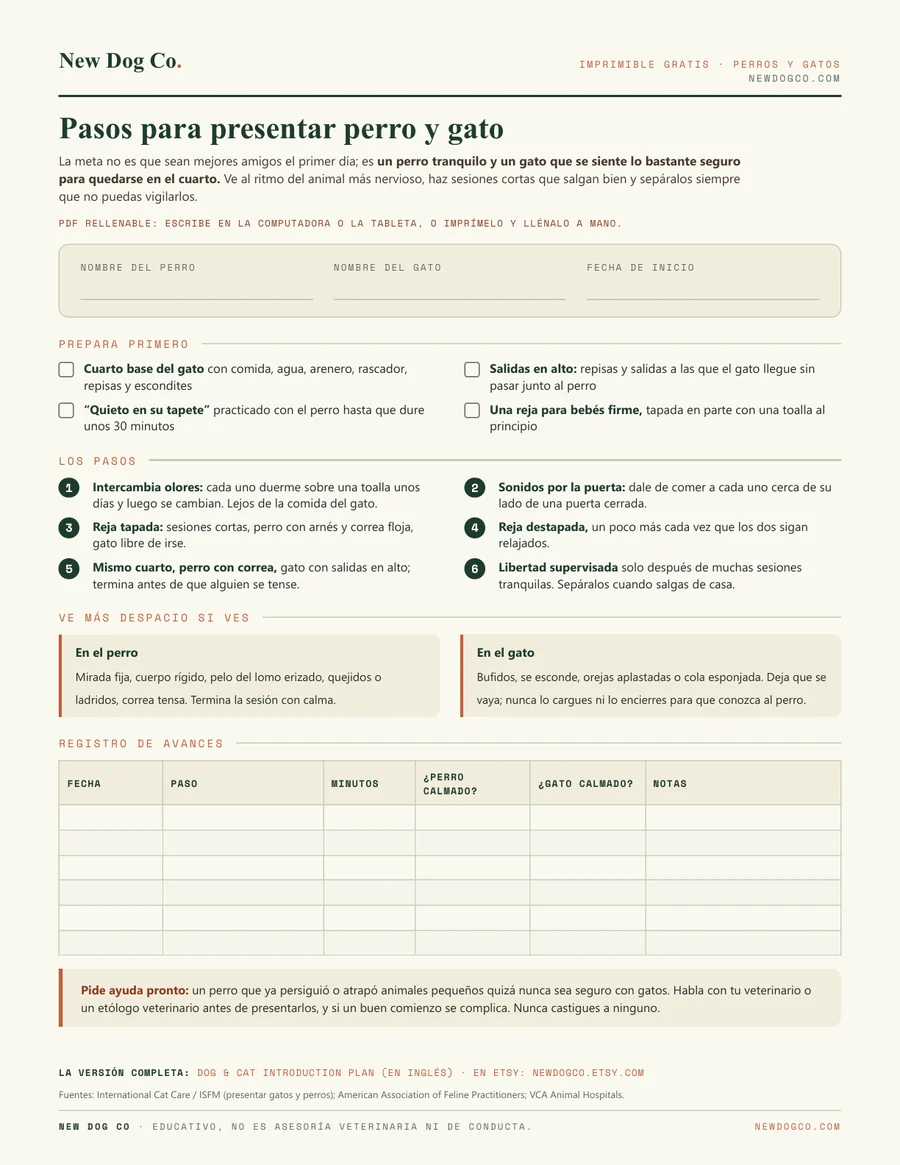 Pasos para presentar perro y gato: vista previa del PDF imprimible