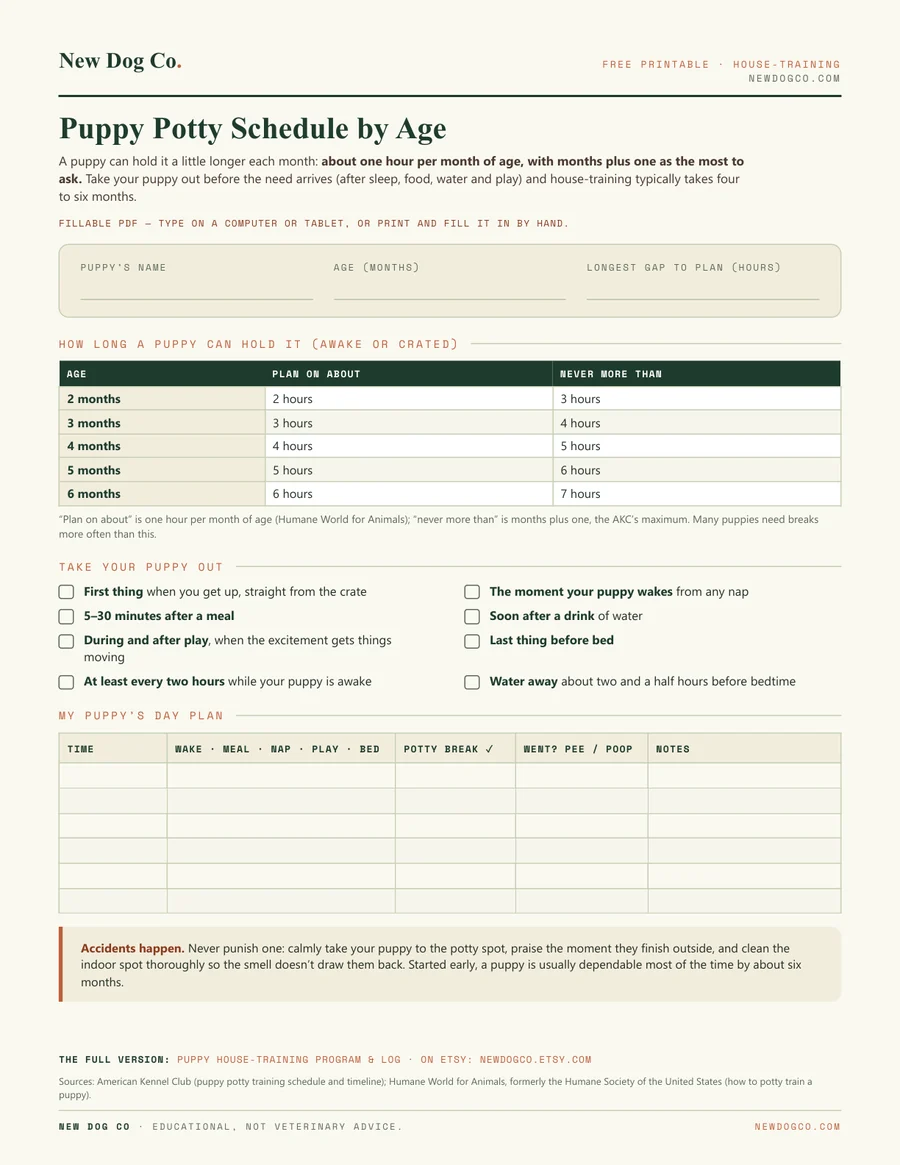 Puppy Potty Schedule by Age — free printable PDF preview