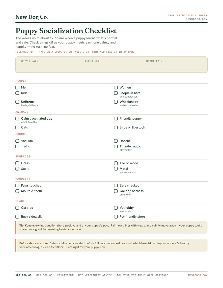 Puppy Socialization Checklist — free printable PDF preview