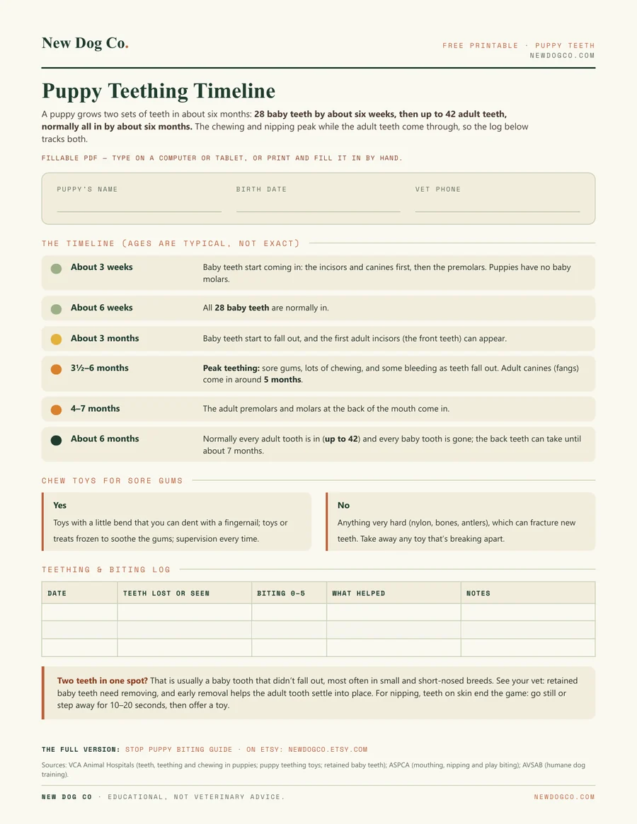 Puppy Teething Timeline — free printable PDF preview