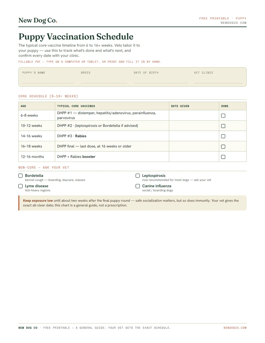 Puppy Vaccination Schedule Chart — free printable PDF preview