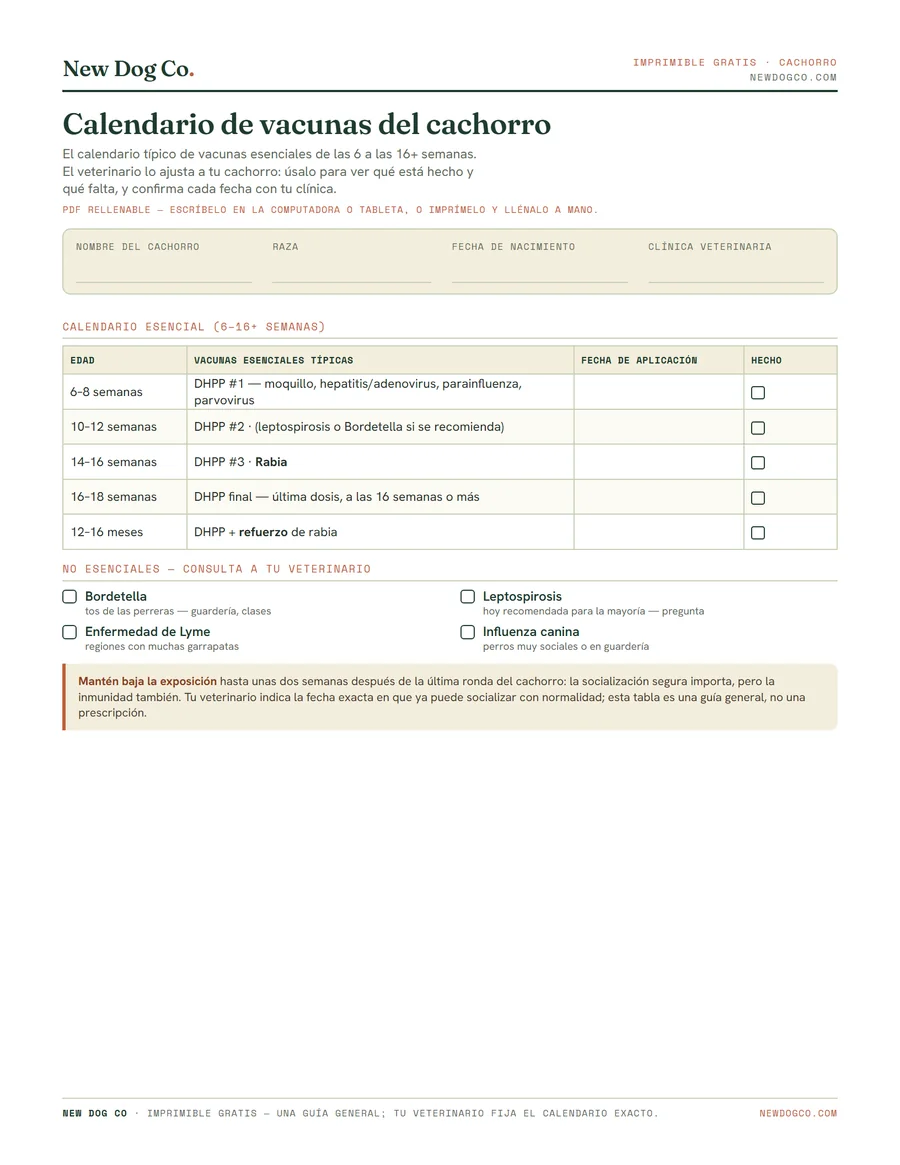 Calendario de vacunas para cachorro — vista previa del PDF imprimible
