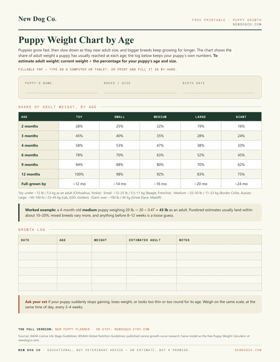 Puppy Weight Chart by Age — free printable PDF preview