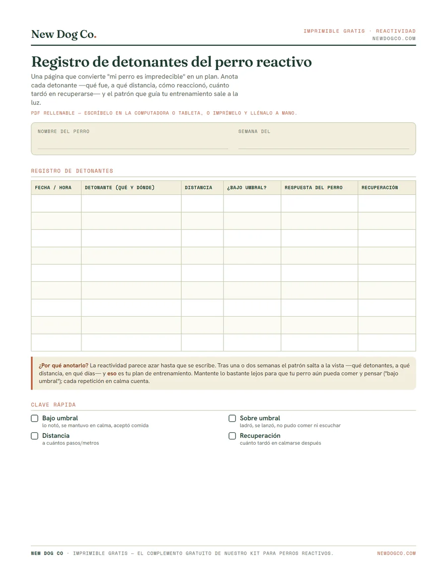 Registro de detonantes del perro reactivo — vista previa del PDF imprimible