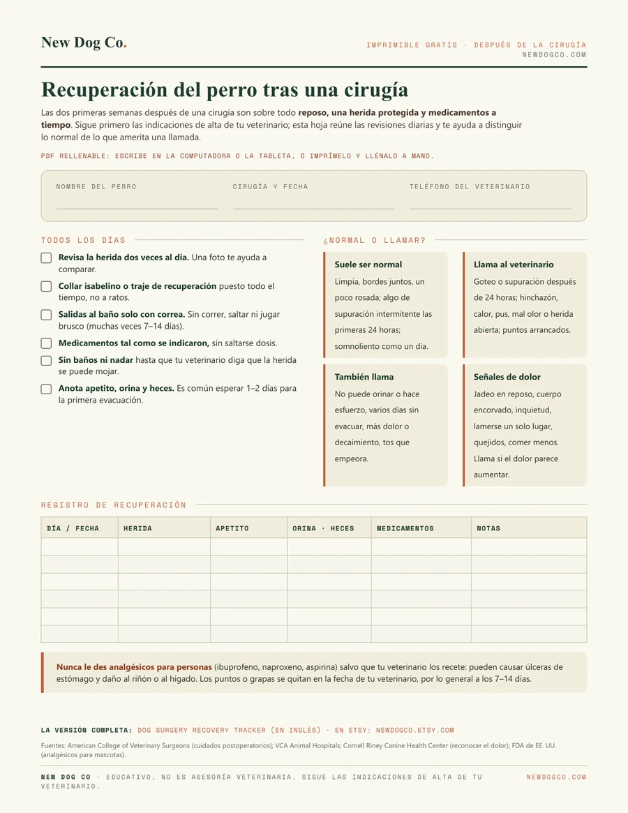Recuperación del perro tras una cirugía: vista previa del PDF imprimible