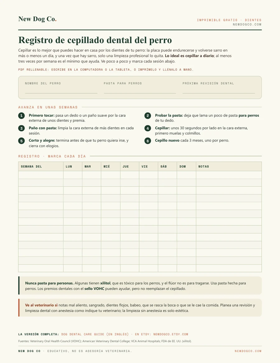 Registro de cepillado dental del perro: vista previa del PDF imprimible