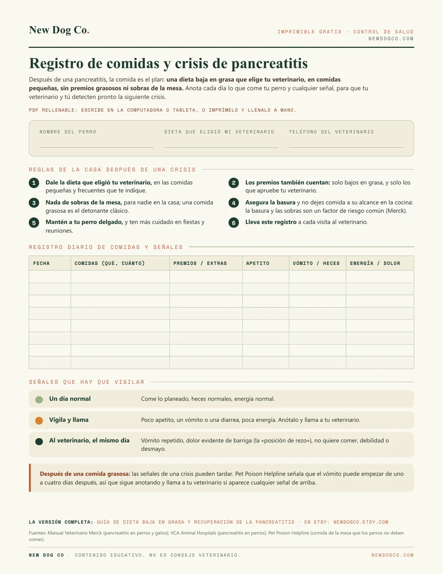 Registro de comidas y crisis de pancreatitis: vista previa del PDF imprimible