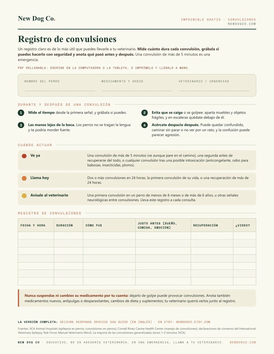 Registro de convulsiones: vista previa del PDF imprimible