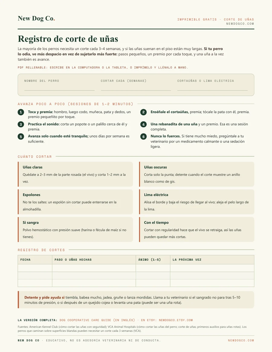 Registro de corte de uñas: vista previa del PDF imprimible