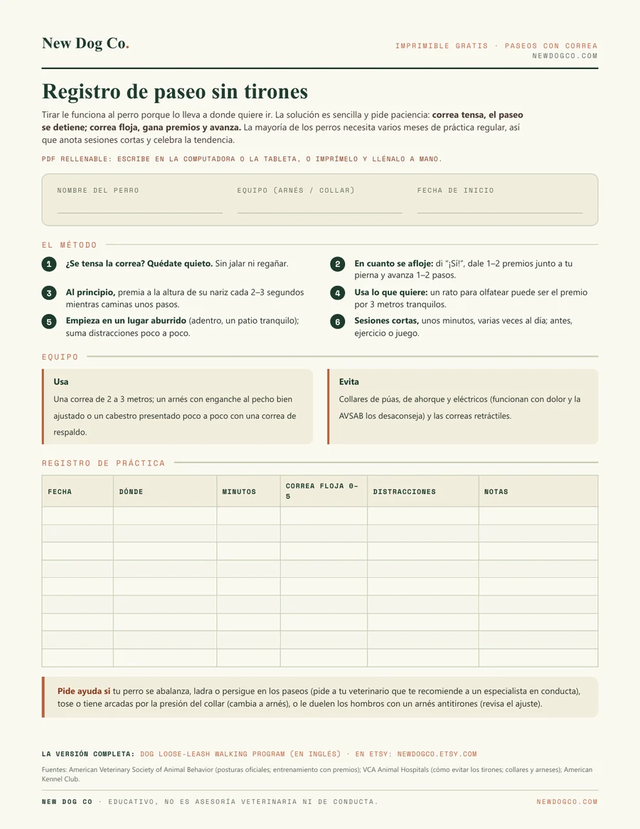 Registro de paseo sin tirones: vista previa del PDF imprimible