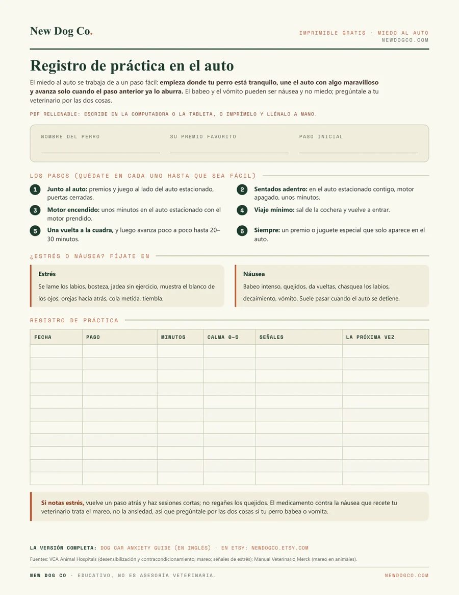 Registro de práctica en el auto: vista previa del PDF imprimible