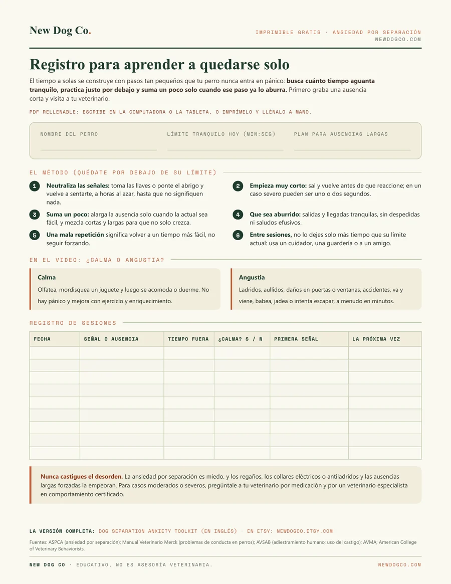 Registro para aprender a quedarse solo: vista previa del PDF imprimible