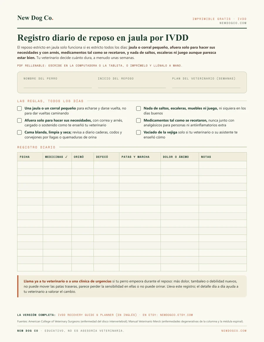 Registro diario de reposo en jaula por IVDD: vista previa del PDF imprimible