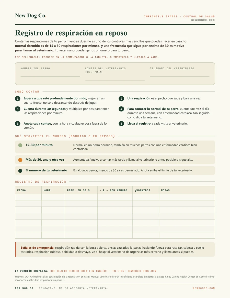 Registro de respiración en reposo: vista previa del PDF imprimible