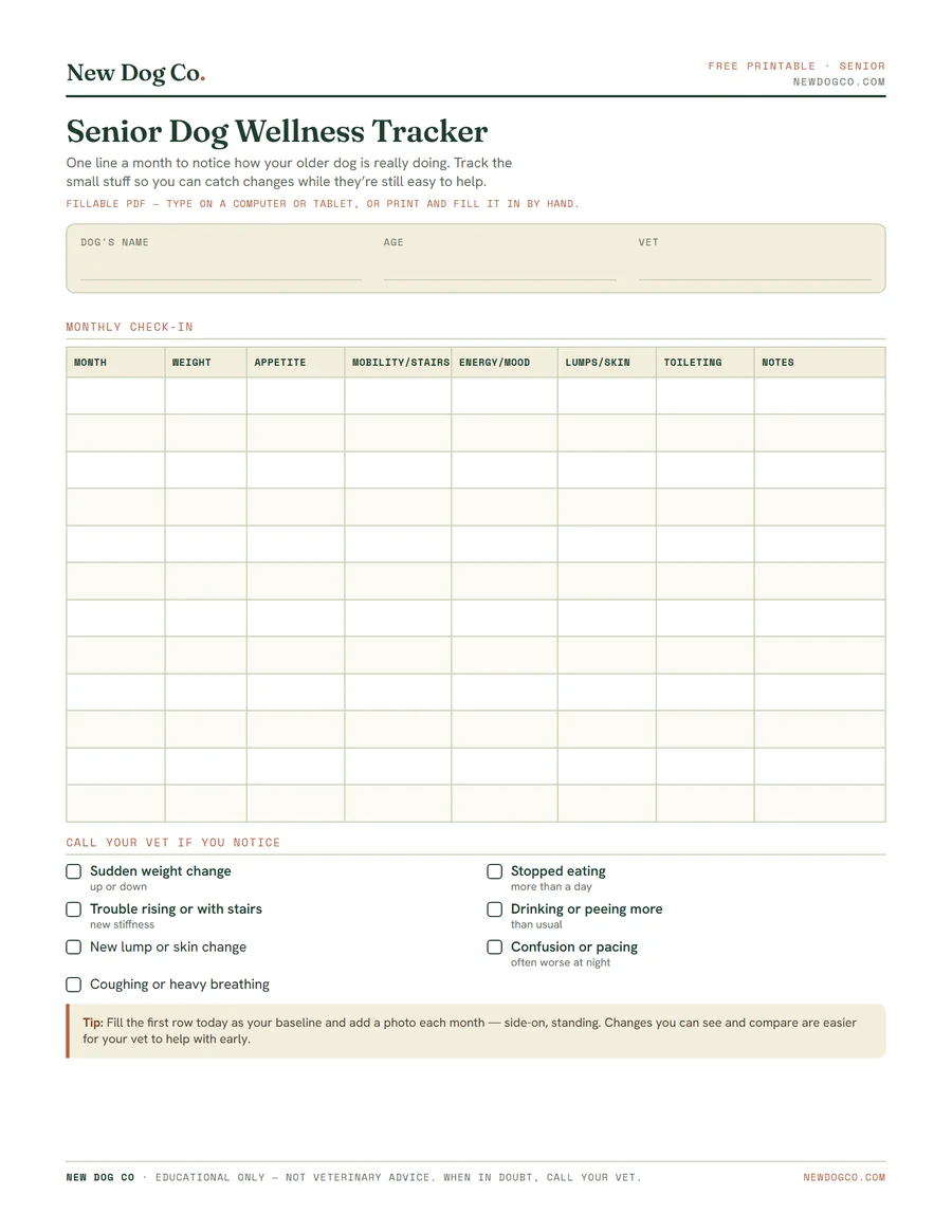 Senior Dog Health Checklist & Tracker — free printable PDF preview