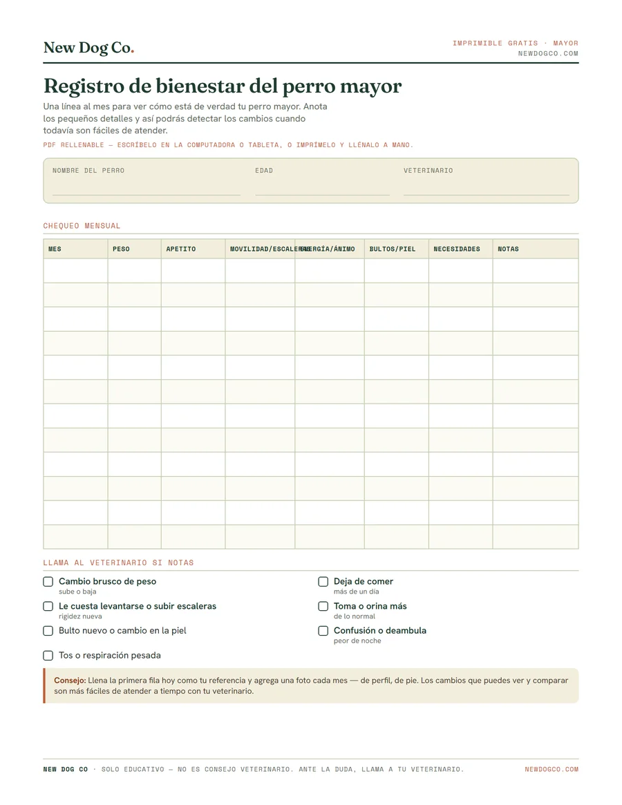 Registro de salud del perro mayor — vista previa del PDF imprimible
