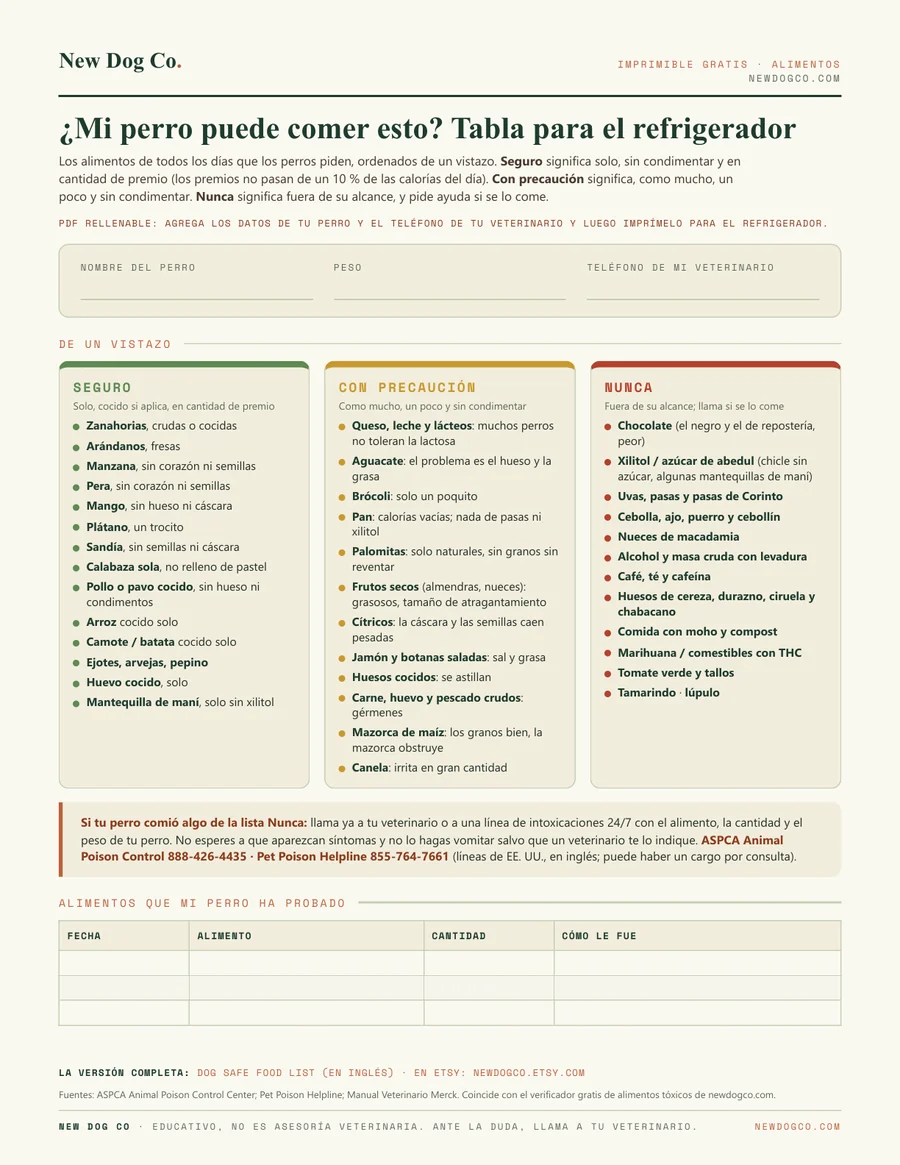 ¿Mi perro puede comer esto? Tabla de alimentos: vista previa del PDF imprimible