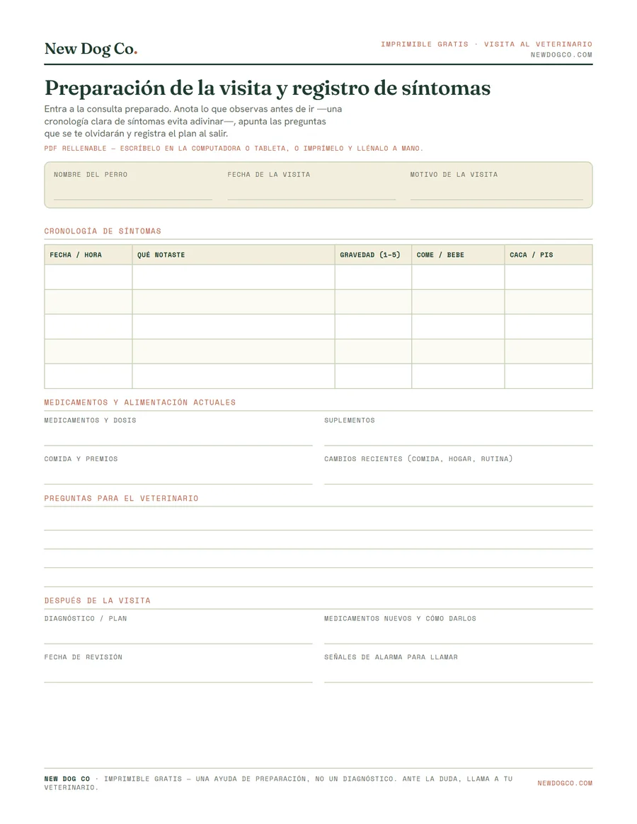 Preparación para el veterinario y registro de síntomas — vista previa del PDF imprimible