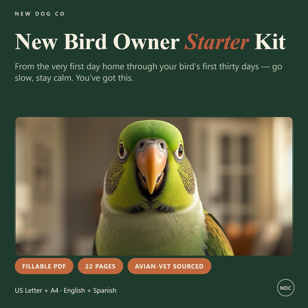 New Bird Owner Starter Kit
