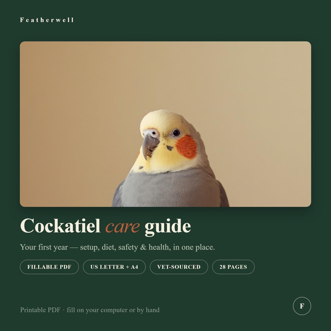 Cockatiel Care Guide